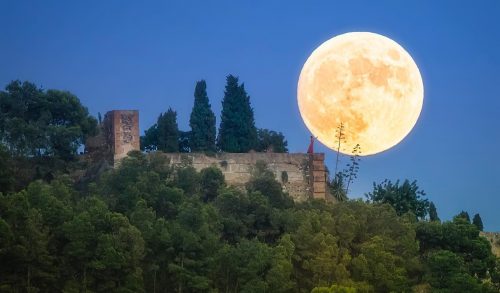 javi_zayaz_69625527_2362330017351382_7111408314771206949_n